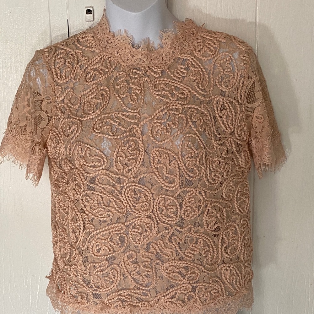 Zara Lace Short Sleeve Blouse in Peach